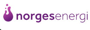 NorgesEnergi Logo